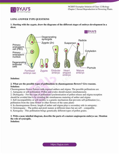 Toradh íomhá ar Class 12 Bio NCERT Genetics
