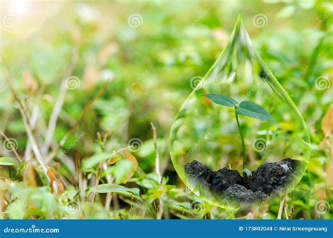 Image result for Add Water and Watch It Grow