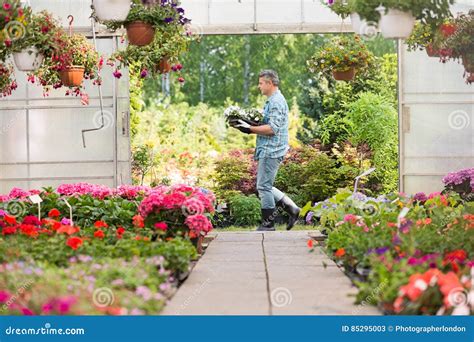 Carrying Flowers Side View に対する画像結果