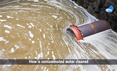 Image result for What Does Contaminated Mean