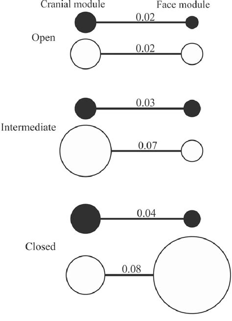 Image result for Conditional Independence Graph