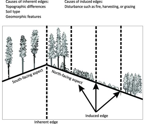 Afbeeldingsresultaten voor Edge Effect Non-Examples