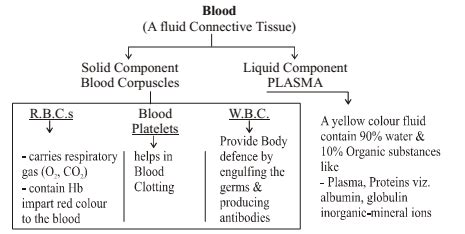 Image result for Life Processes Class 10 Flow Chart