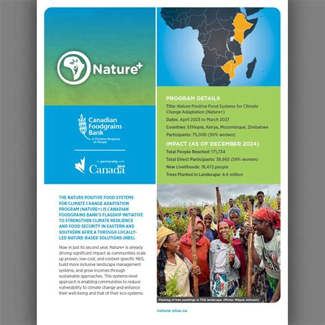 Toradh íomhá ar Program Overview Background