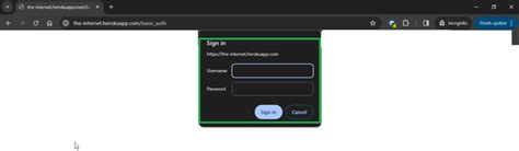 Toradh íomhá ar Selenium Basic Authentication