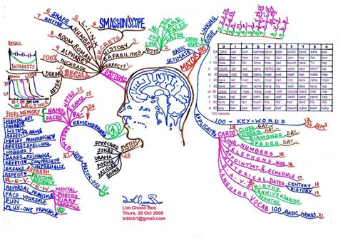 Image result for Memory Mind Map