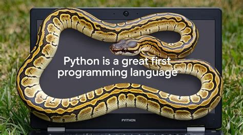 Image result for Python Elements PNG