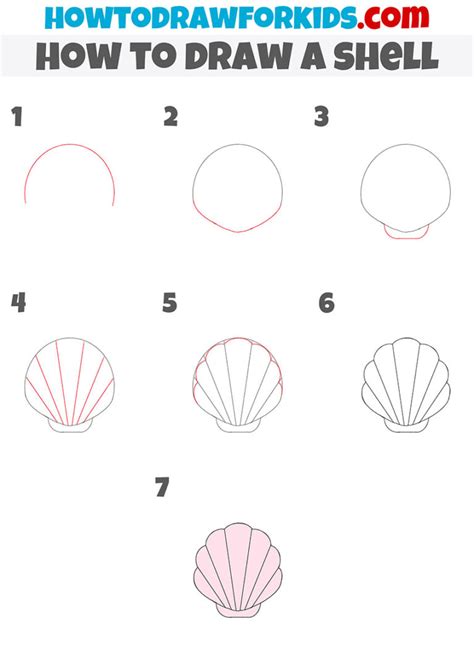 How to Draw a Shell に対する画像結果