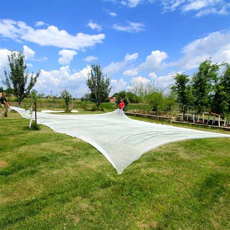 Image result for Put Bird Net Over Fruit Tree