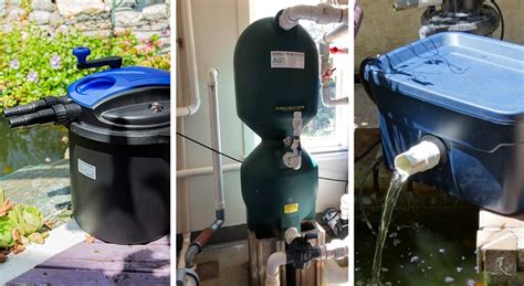 6 Best Koi Pond Filters: Reviewed and Rated (Fall 2023)