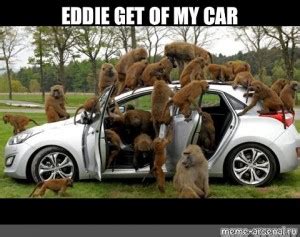 Image result for Monkey in Garage Meme Song