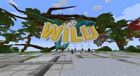 Image result for Java PvP Servers