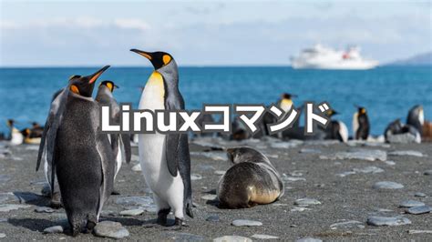 RPM Linux Command に対する画像結果