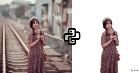 Image result for How to Hide Text in Python