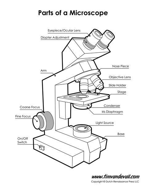 Image result for Microscope Outline