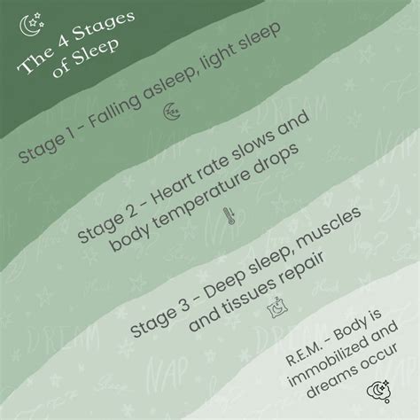 Image result for 4 Stages of Sleep Chart