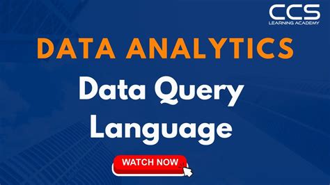 Image result for Data Q SQL