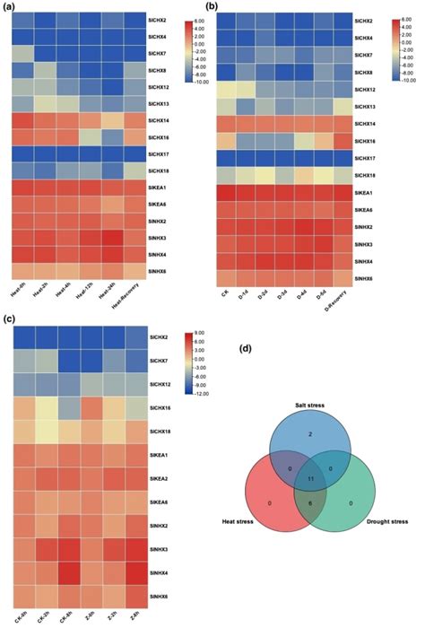 Image result for R Data Visualization in Bioinformatics