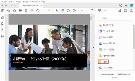 Image result for How to Use Adobe Acrobat Pro