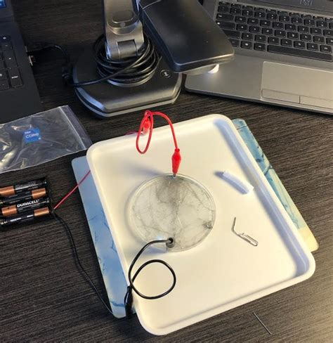 Afbeeldingsresultaten voor Elementary Student Work Examples