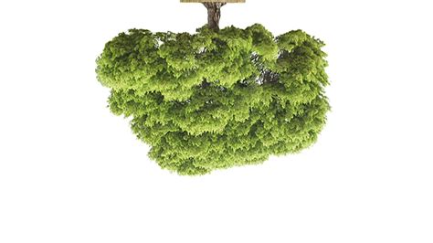 Image result for Yoga Tree of Life with Text