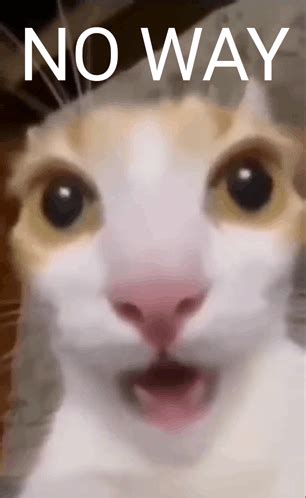 Image result for No Cheating PNG