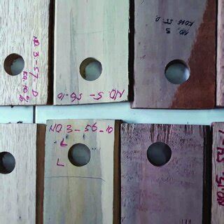 Image result for Defect Kayu Go Song