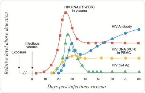 Image result for HIV Diagnostic Testing