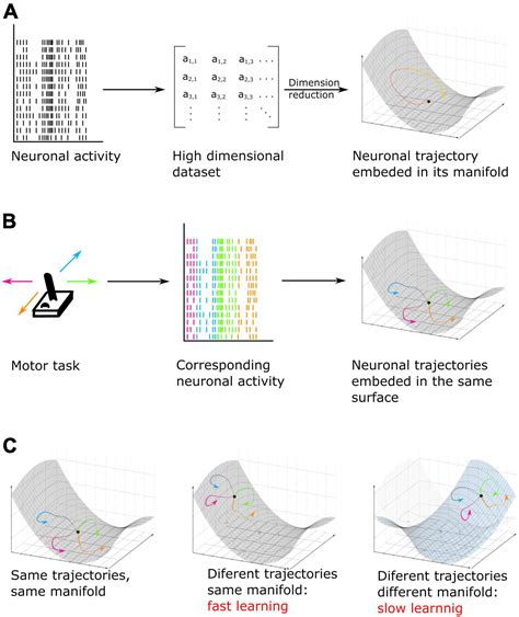 Image result for Functional Nehaviour Computer