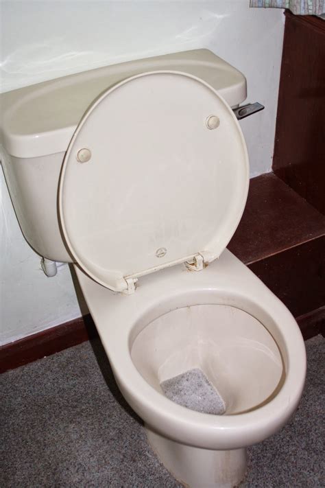 Image result for Toilet Kind