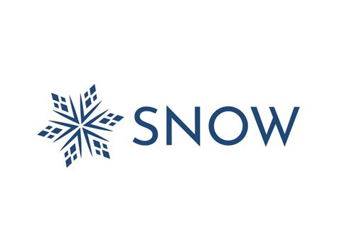 Image result for Snow Software Transparent Logo