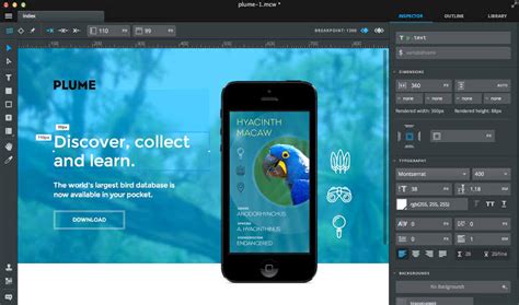Image result for Macaw Web Design Software