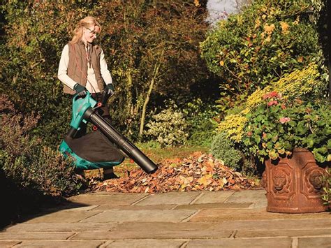 Image result for How to Use a Leaf Blower in UK