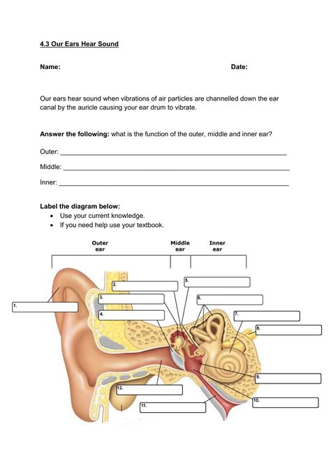 Toradh íomhá ar Life Sciences Grade 12 the Human Ear