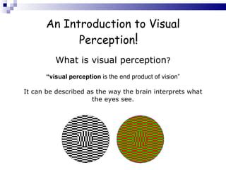 Image result for Examples of Visual Perception in Real Life