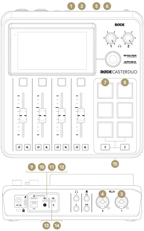 Image result for Rode Caster Duo Inputs
