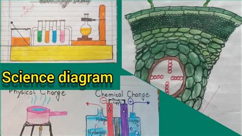 Beautiful Science diagrams very simple and easy steps to draw science ...