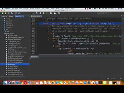 Image result for Apache NetBeans Java 12.5