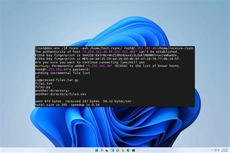 Image result for Set Up Remote Rsync On Windows