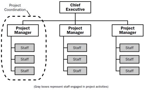 Organization Structure for a Implementation Project に対する画像結果