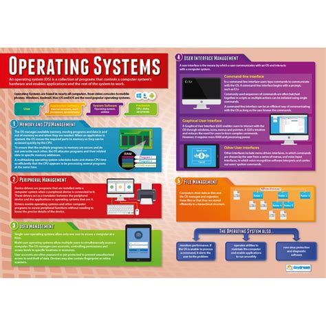 Image result for Operating System Infographic