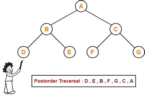 Image result for Example of Postorder Traversal