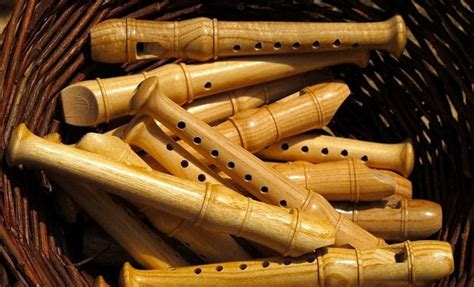 Image result for Small Woodwind Instruments