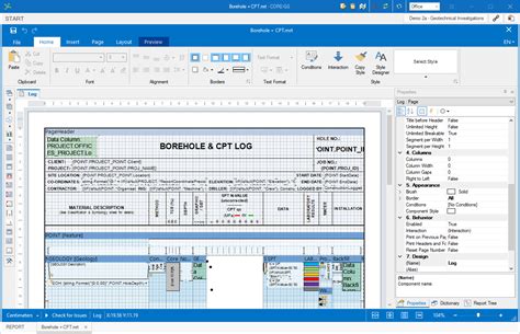 Reorting Module Template に対する画像結果