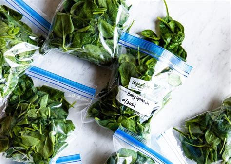 Image result for How to Freeze Spinach Leaves