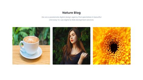 Blog Section Website Template に対する画像結果