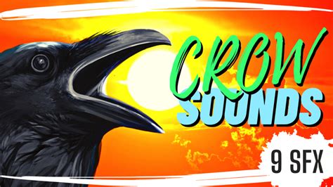 Crow with Sound Wave Vector Image に対する画像結果