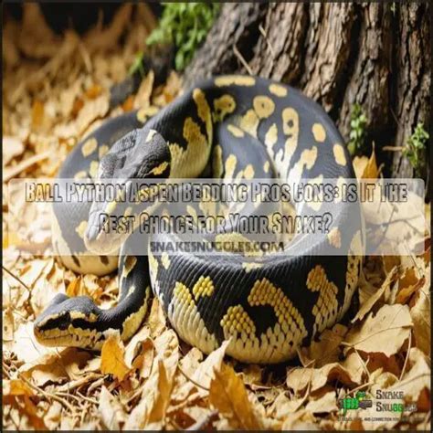 Ball Python Snake Tank-साठीचा प्रतिमा निकाल