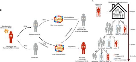 M. Tuberculosis Pathogenesis に対する画像結果