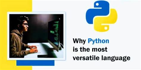 Python Verstality に対する画像結果